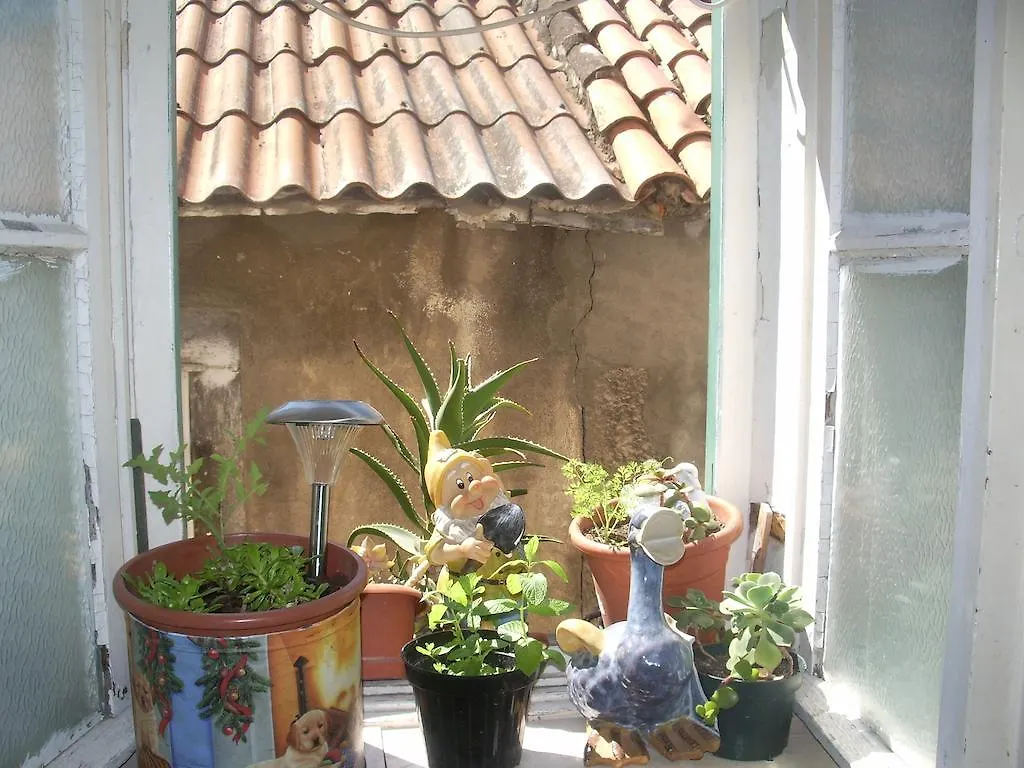 Apartments Antonio Split Guest house